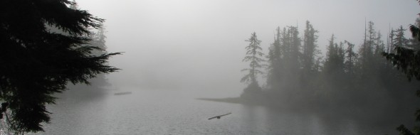 Fog during day